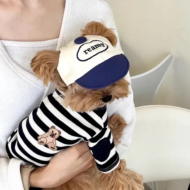 Hunde-Sommershirt 3