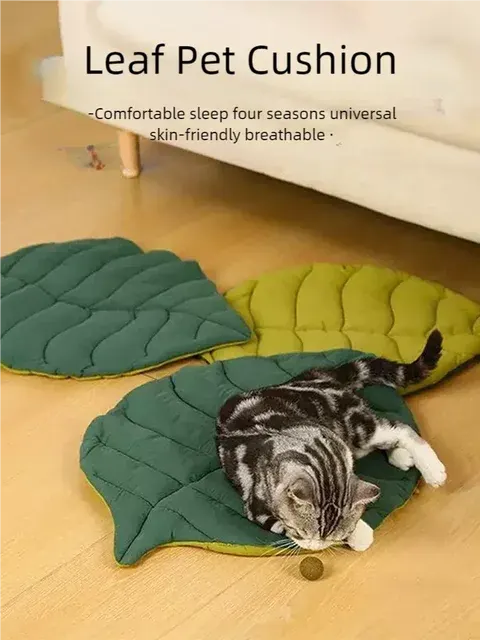 Katzenbettmatte 3