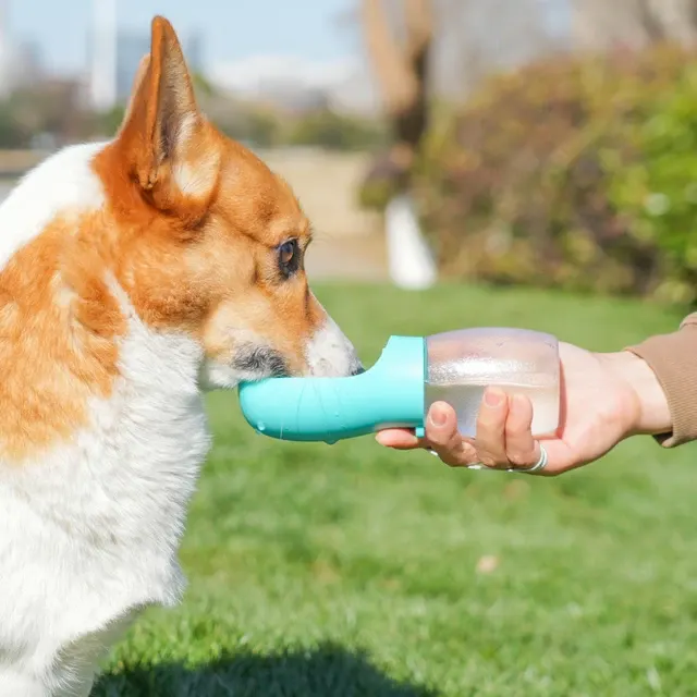 Tragbare Hunde-Wasserflasche 300 ml 4