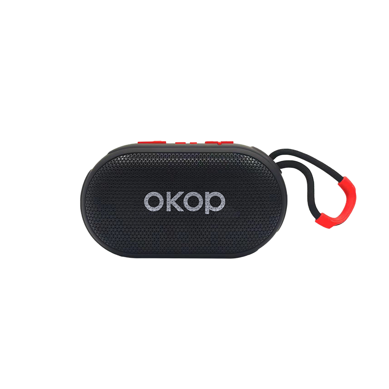 Tragbarer Bluetooth-Lautsprecher