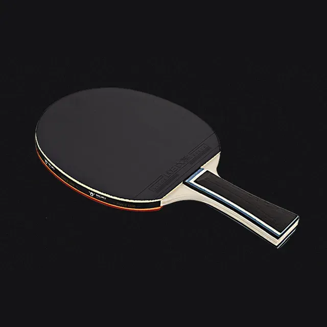 Tischtennisschläger 2