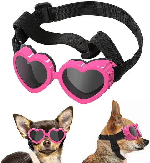 Hundebrille