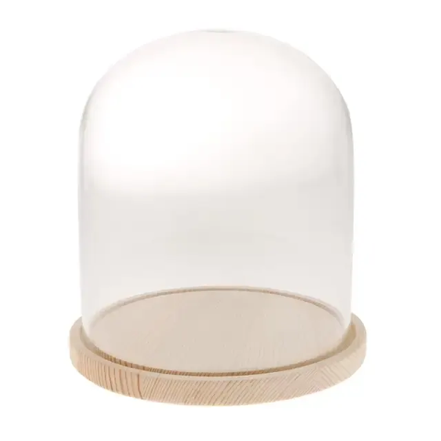 Glasglocke mit Holzsockel 3