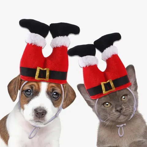 Haustier-Weihnachtsmütze