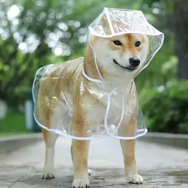 Hunde-Regenmantel 4