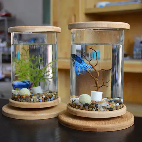 Tisch-Aquarium