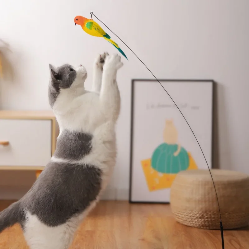 Vogel-Federspielzeug mit Glöckchen für Katzen 3