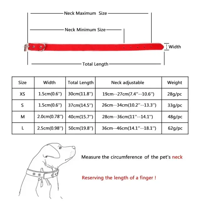 Hundehalsband 2