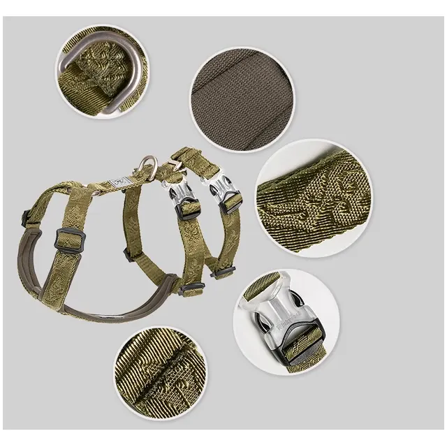 Personalisiertes Hundegeschirr 4