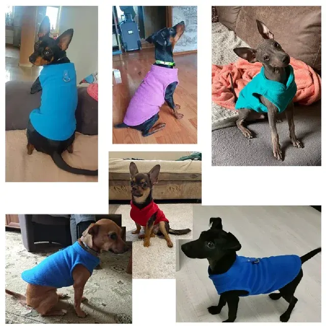 Hunde-Wollweste 3