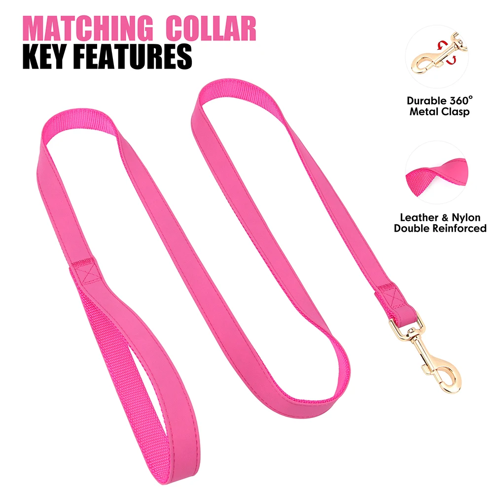 Leder-Hundehalsband mit Leine im Set 4