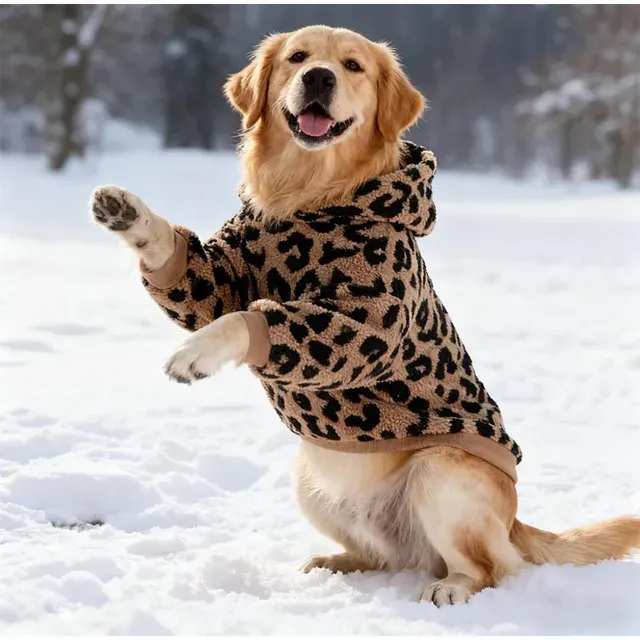 Hundepullover 4
