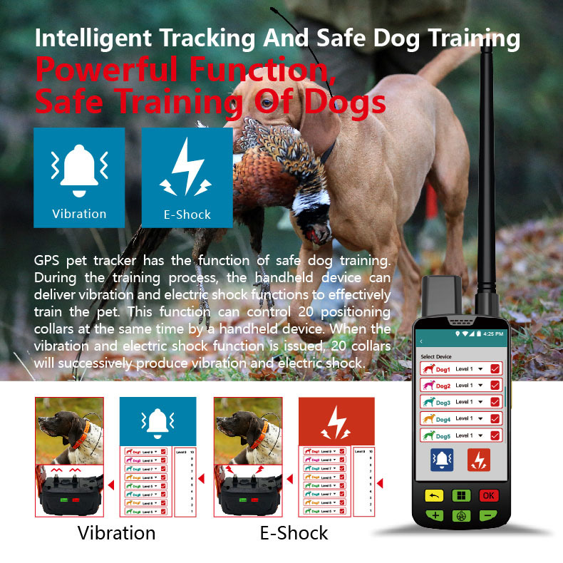 GPS Hunde Tracker mit Ortung 3
