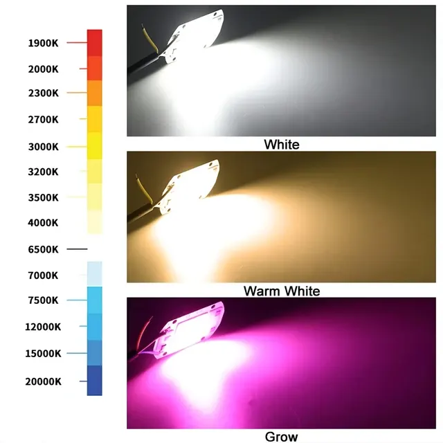 COB-LED-Chip 4