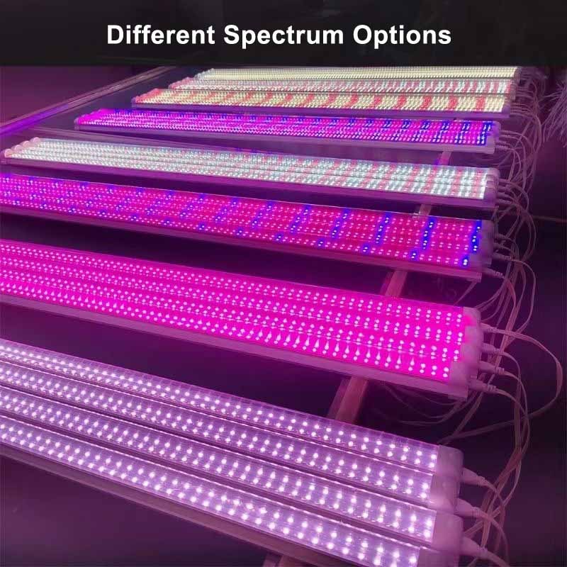 Dimmbare LED Pflanzenröhre 9000K 6500K Wasserdicht 2