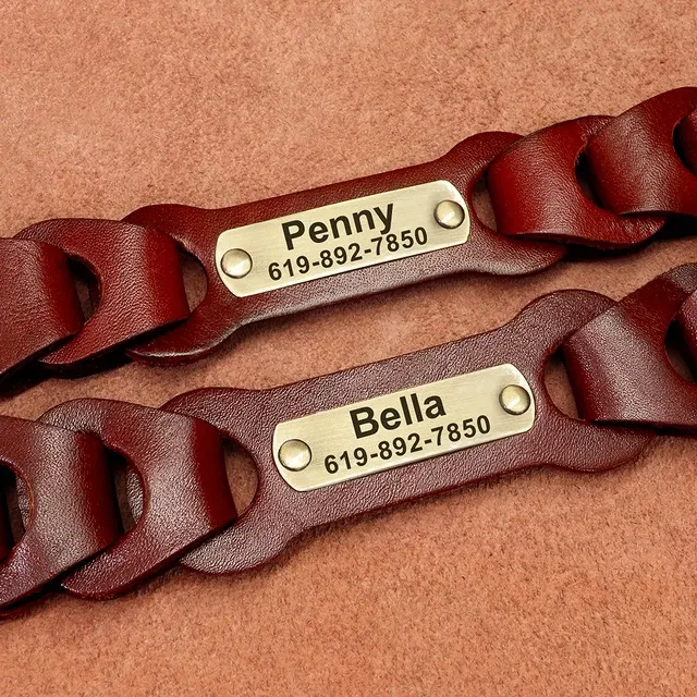 Personalisiertes Hundehalsband 3