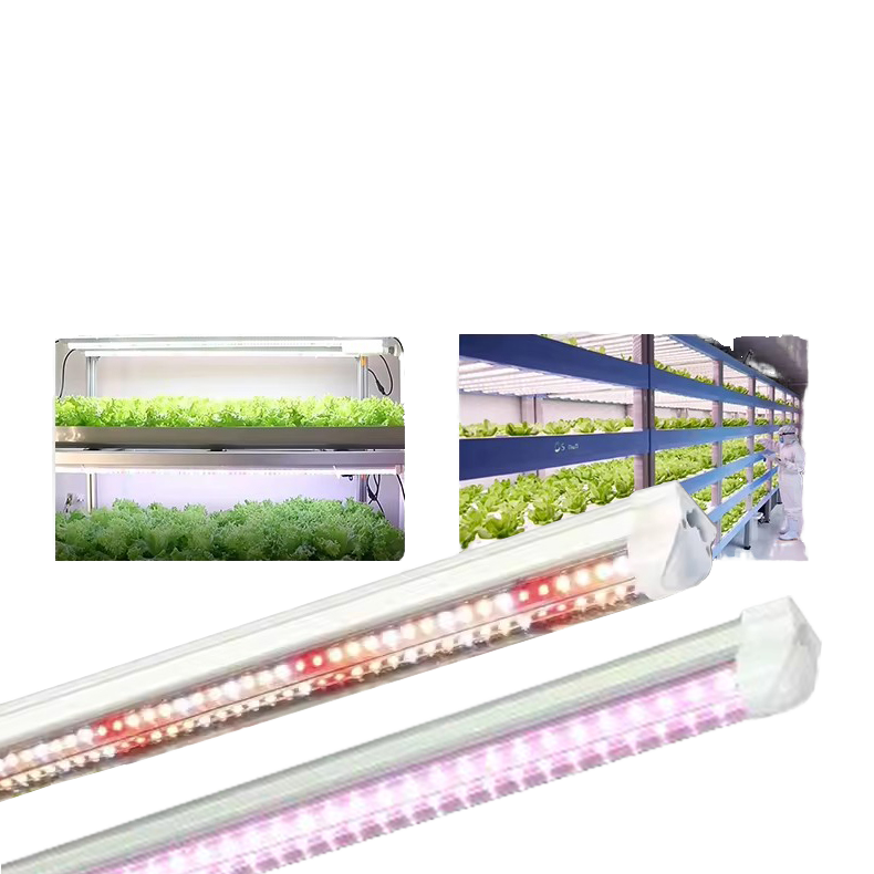 Dimmbare LED Pflanzenröhre 9000K 6500K Wasserdicht