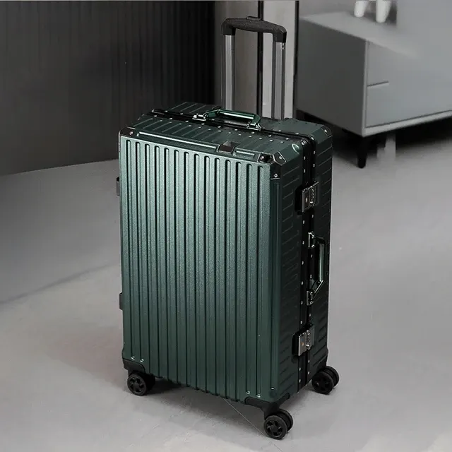 Trolley-Koffer 1