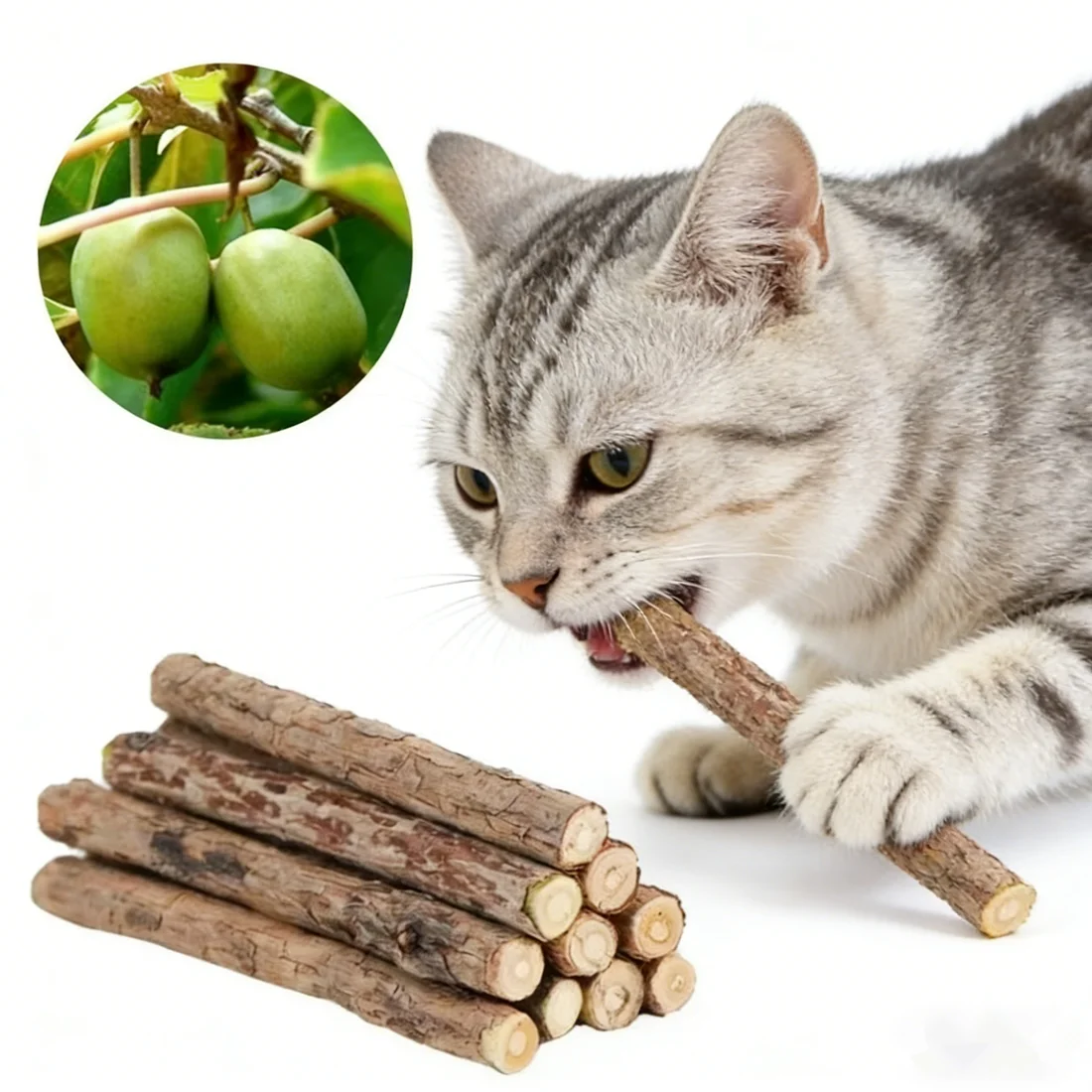 20 Katzenminze-Kaustäbchen aus Holzraute 2