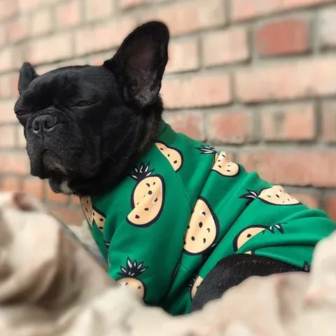 Hunde-Sweatshirt