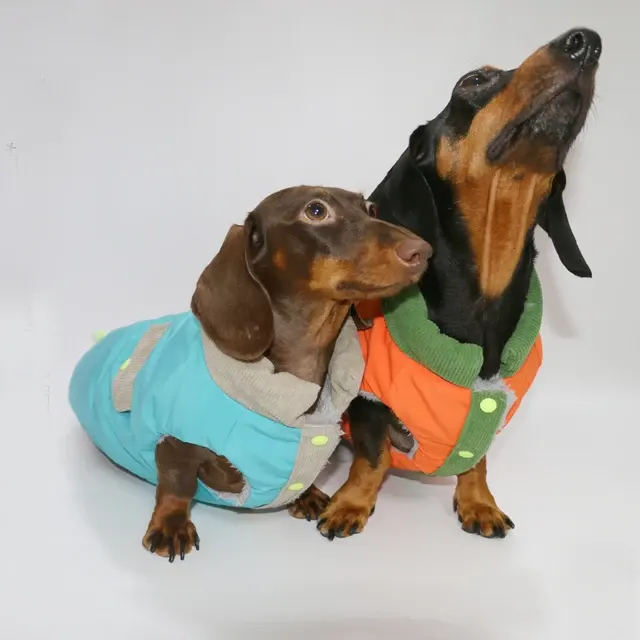 Hunde-Winterweste 2