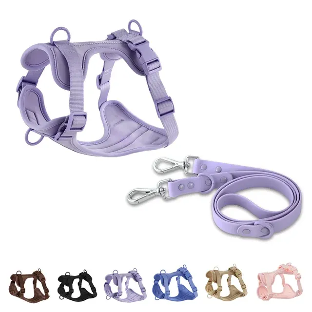 Hundegeschirr-Leinen-Set 2