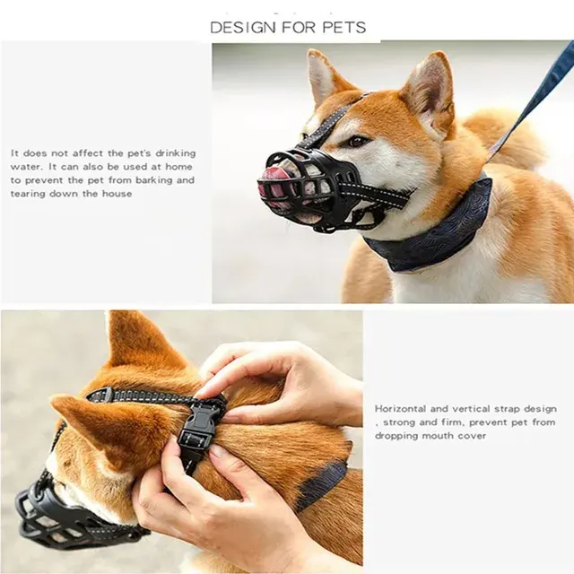 Hundemaulkorb 4