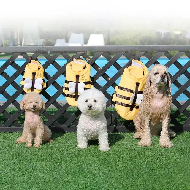 Hunde-Schwimmweste 2