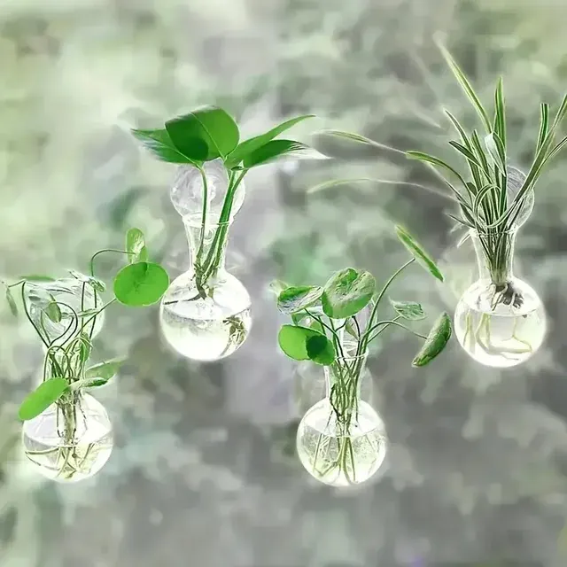 Wand-Hydrokultur-Vase 3
