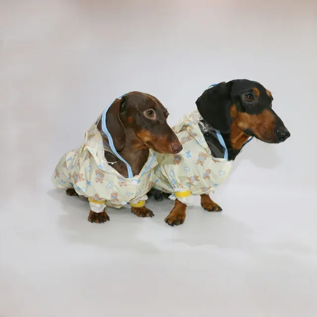 Hunde-Regenmantel 3
