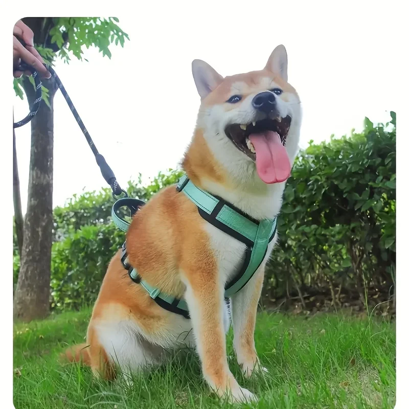 Hundegeschirr mit Kotbeutel 2
