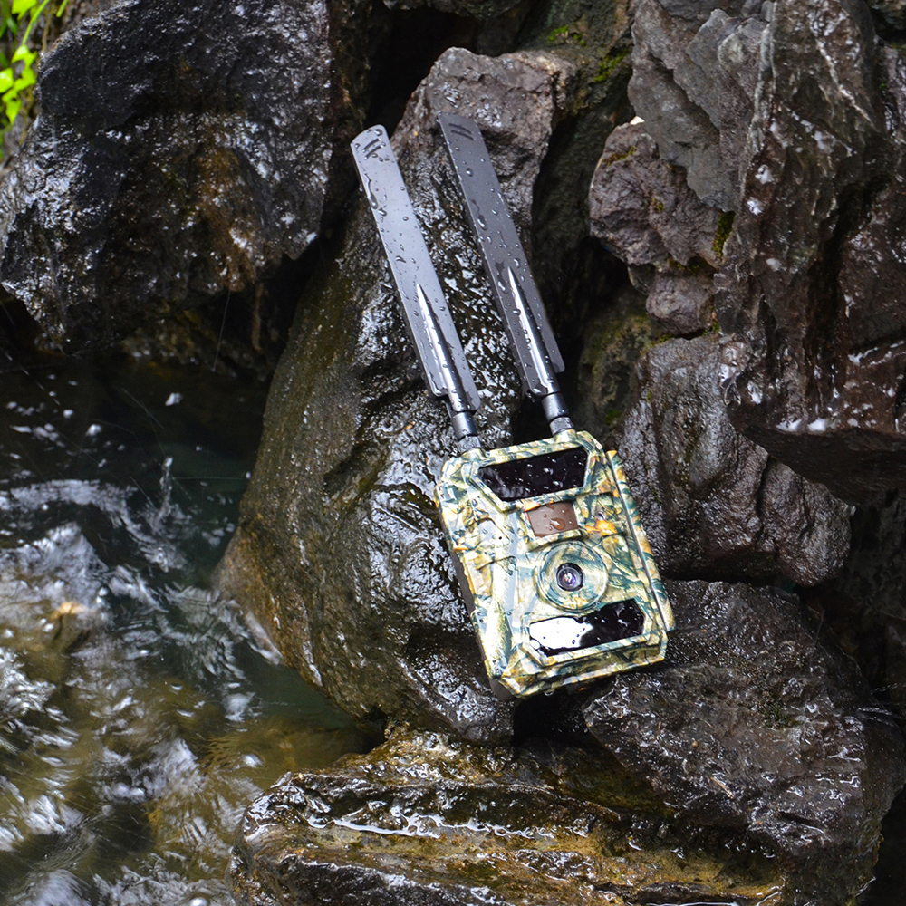 4G Wildkamera mit Nachtsicht, GPS, 24MP 2