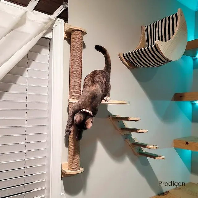 Katzen-Kletterregal Wand 4