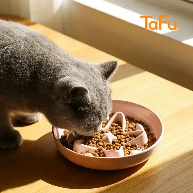 Slow-Feeder-Katzennapf 3