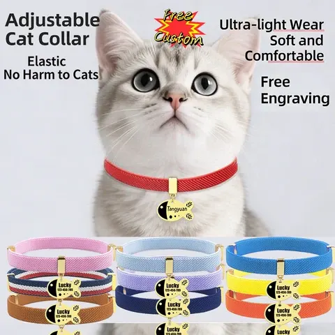 Personalisiertes Katzenhalsband