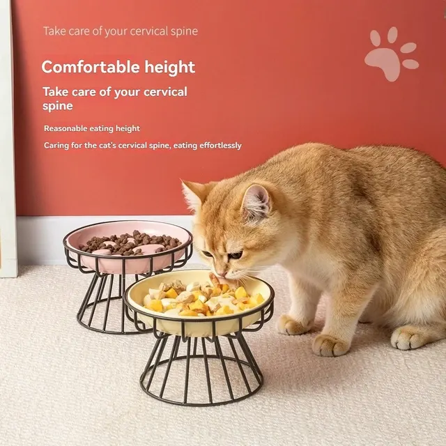 Erhöhter Katzennapf 2