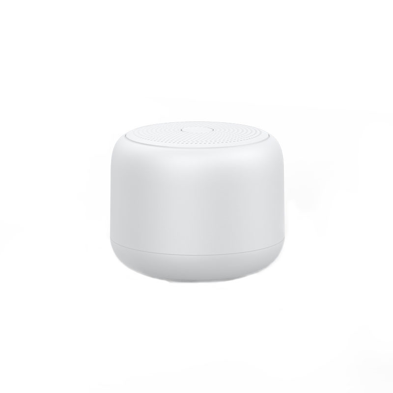 Wasserdichter Bluetooth-Lautsprecher mit Haken 4