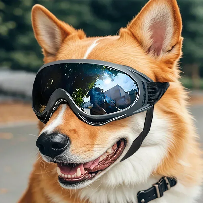 Hunde-Sonnenbrille