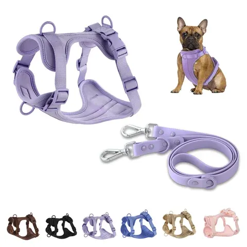Hundegeschirr-Leinen-Set