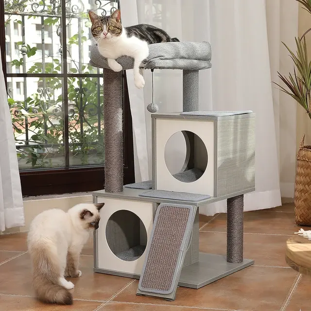 Katzenbaum 2