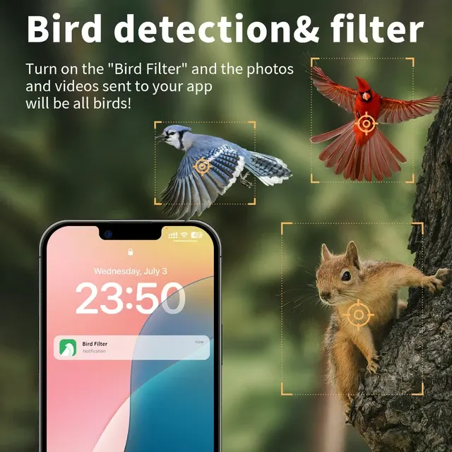 Smart Vogelfutterspender mit Kamera 3