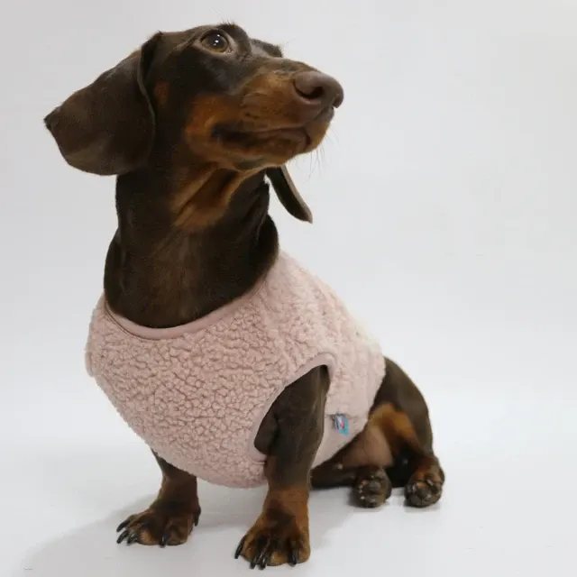 Hunde-Sweatshirt 3