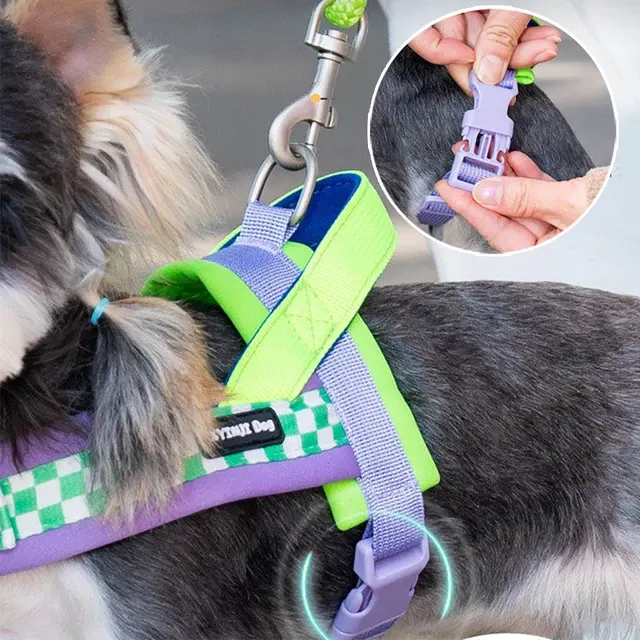 Hundegeschirr mit Leine 3