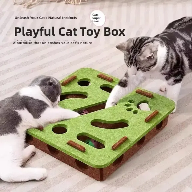 Katzen-Puzzle-Spielzeug 1