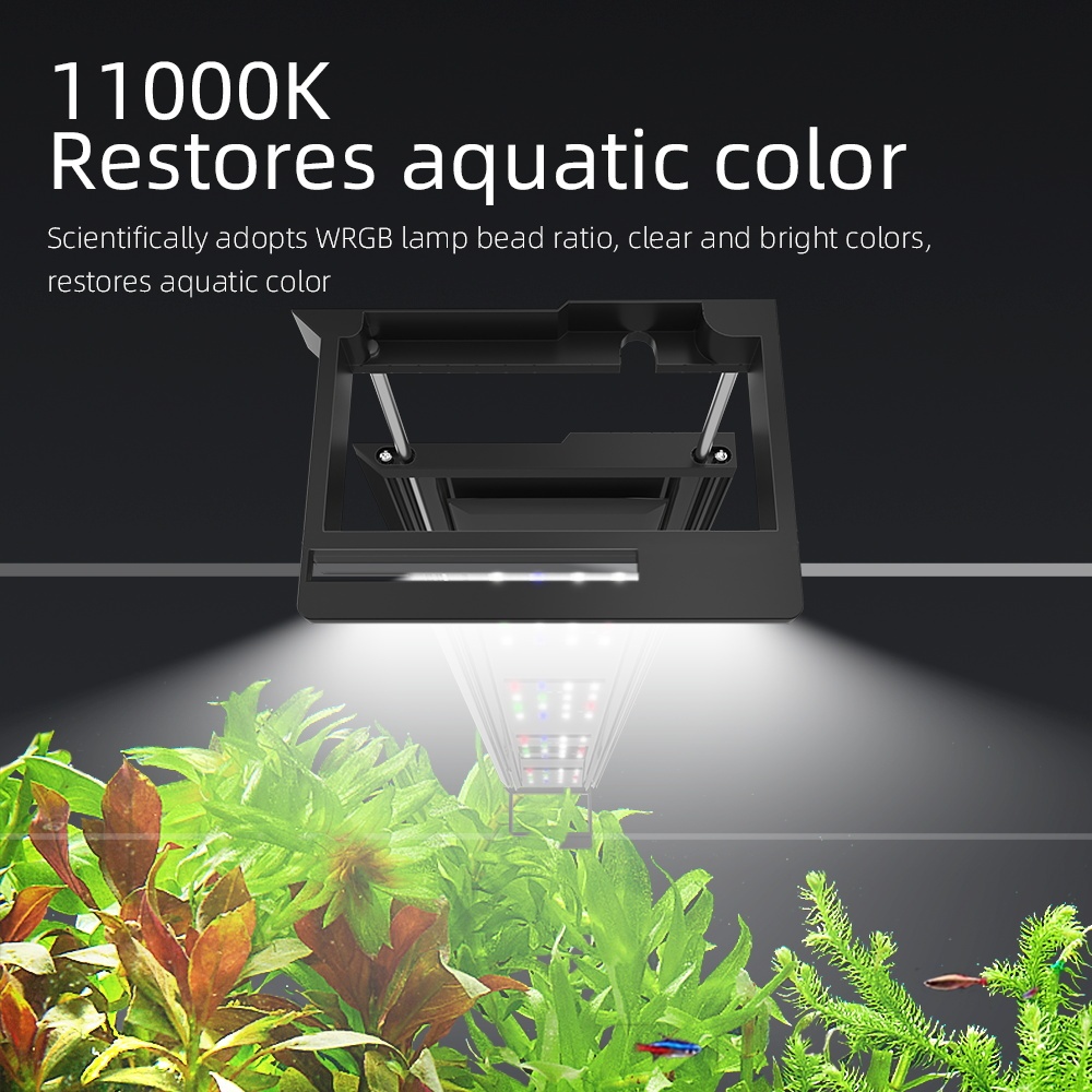 Pflanzenaquarium-LED-Leuchte 3