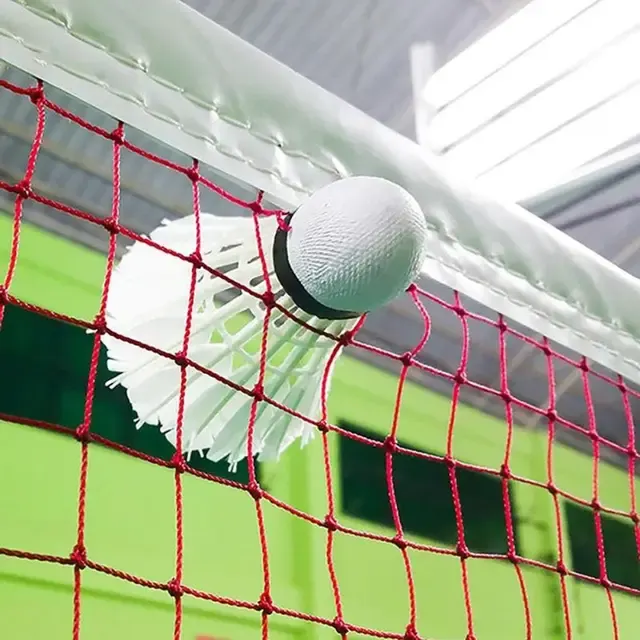 Badmintonnetz 2