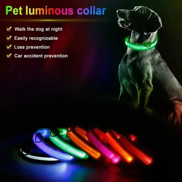 LED-Hundehalsband 2