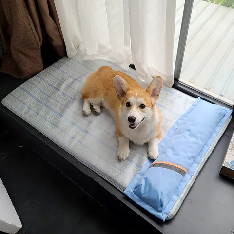Hundematte