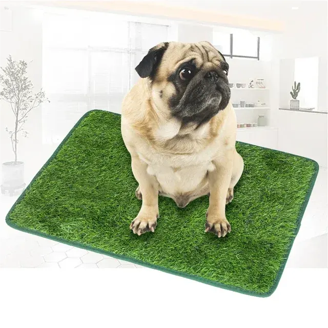 Hundetoilette 1