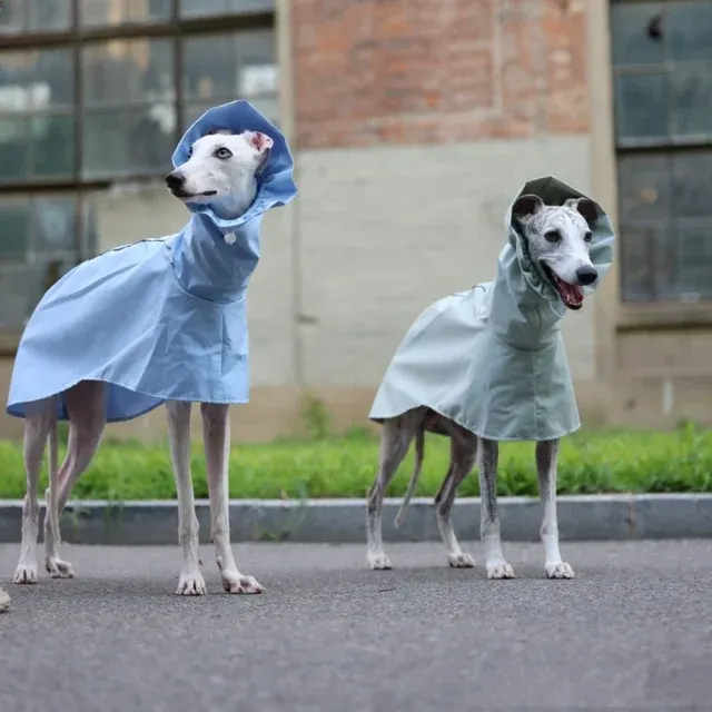 Hunde-Regenmantel 2